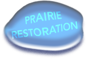 prairie-restoration